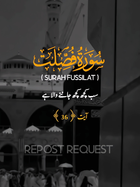 Surah fussilat ||VERSE 36 ||🕊️✨ #surahfussilat #repost #explore #fyp #viral #trending #viral_video #alquran #quran #qurantranslation #quranurdutranslation #qurantranslationurdu @𝙁𝙖𝙖𝙣𝙞 