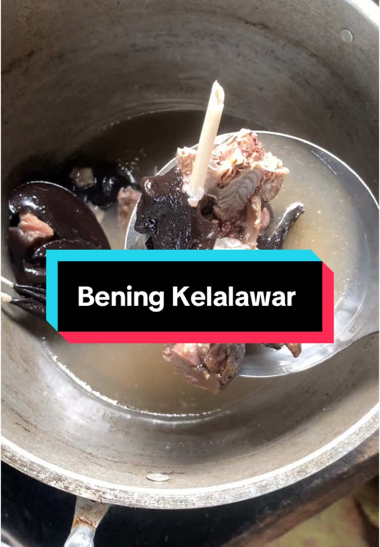 Kalian lebih suka bening kelalawar atau bening musang gaes??? #makananviral #tiktoknews #menusimple #masak #cobain 