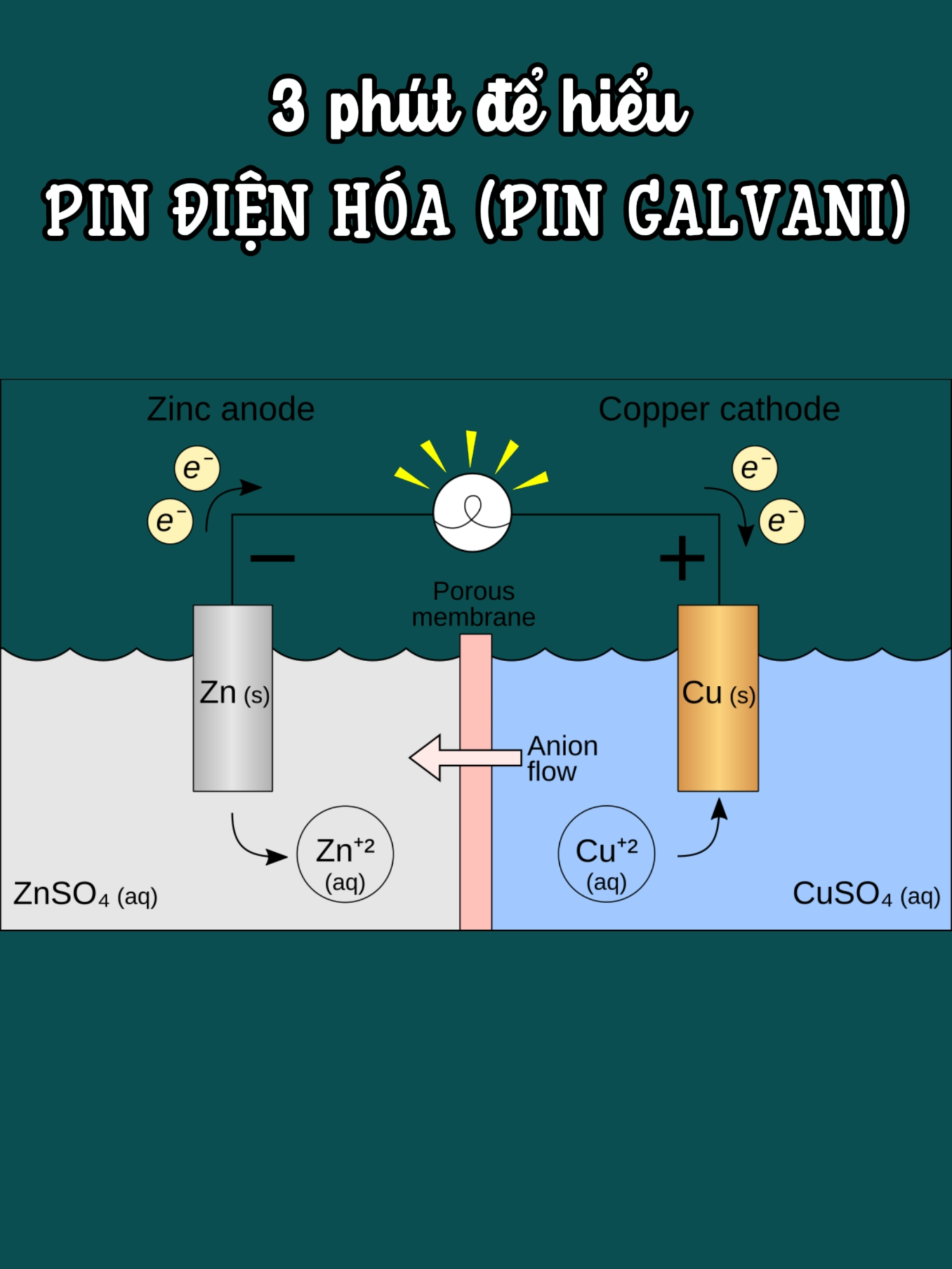 [HÓA 12] Hiểu toàn bộ pin điện hóa (pin galvani) chỉ trong 3 phút #hoahoc #LearnOnTikTok #hochoadenchet  #pingalvani