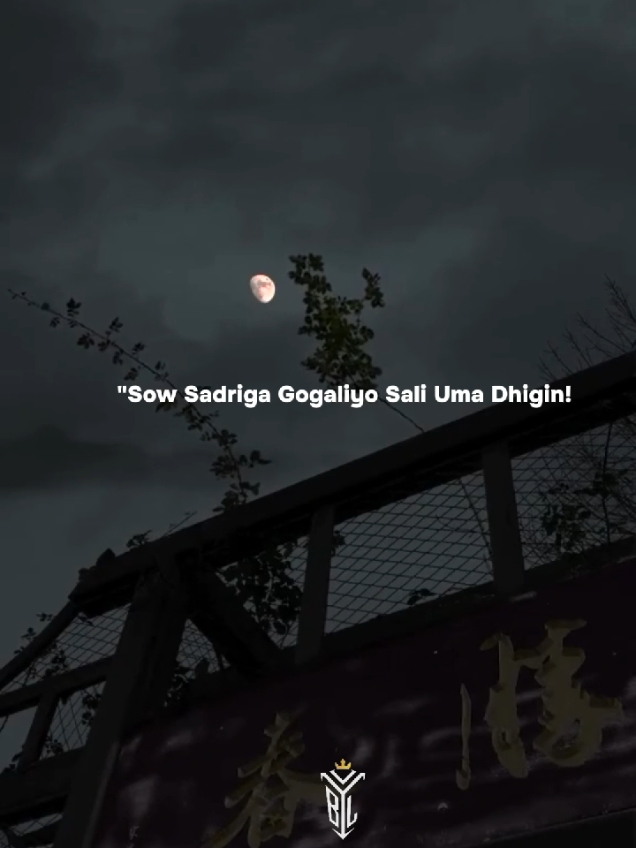 1:07 Sow sadriga Gogaliyo Sali uma dhigin🥺❤️#foryoupage❤️❤️ #fyyyyyyyyyyyyyyyy #for #slowedsongs #firstvideo #singing #fyp #viral_video #song #relaxing #baanadool 