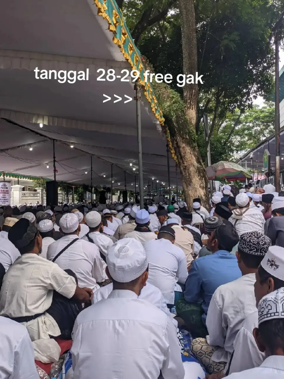 semoga kita bisa hadir haul malang, dan mendapatkan barokah Nye, bibarkati Sohibul malang,Al habib Abdul Qodir bin ahmad bilfaqih RA #haulmalang2024 #habibabdulqodirbilfagih #ziarahwali #ahlulbayt #creatorsearchinsights2024 #aulia #allah #dzuriyahnabi #muhammad #saw 