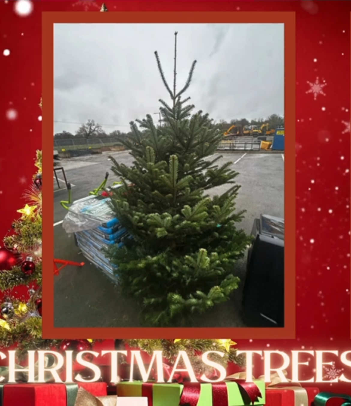 #brandonhire #christmas #christmastree #irishbusiness #Kilkenny #fyp #freedelivery 