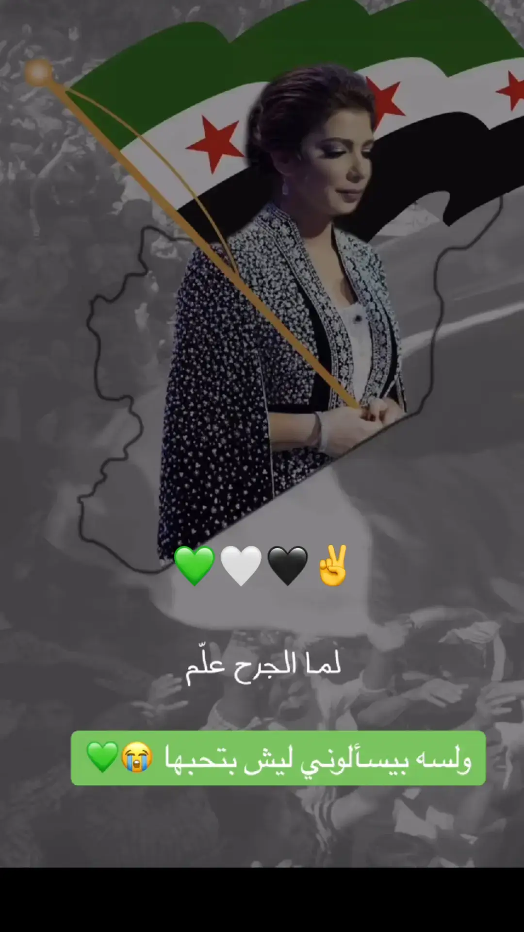 #🥀🖤 @فراشه الثوره السوريه💚🤍🖤✌️ 