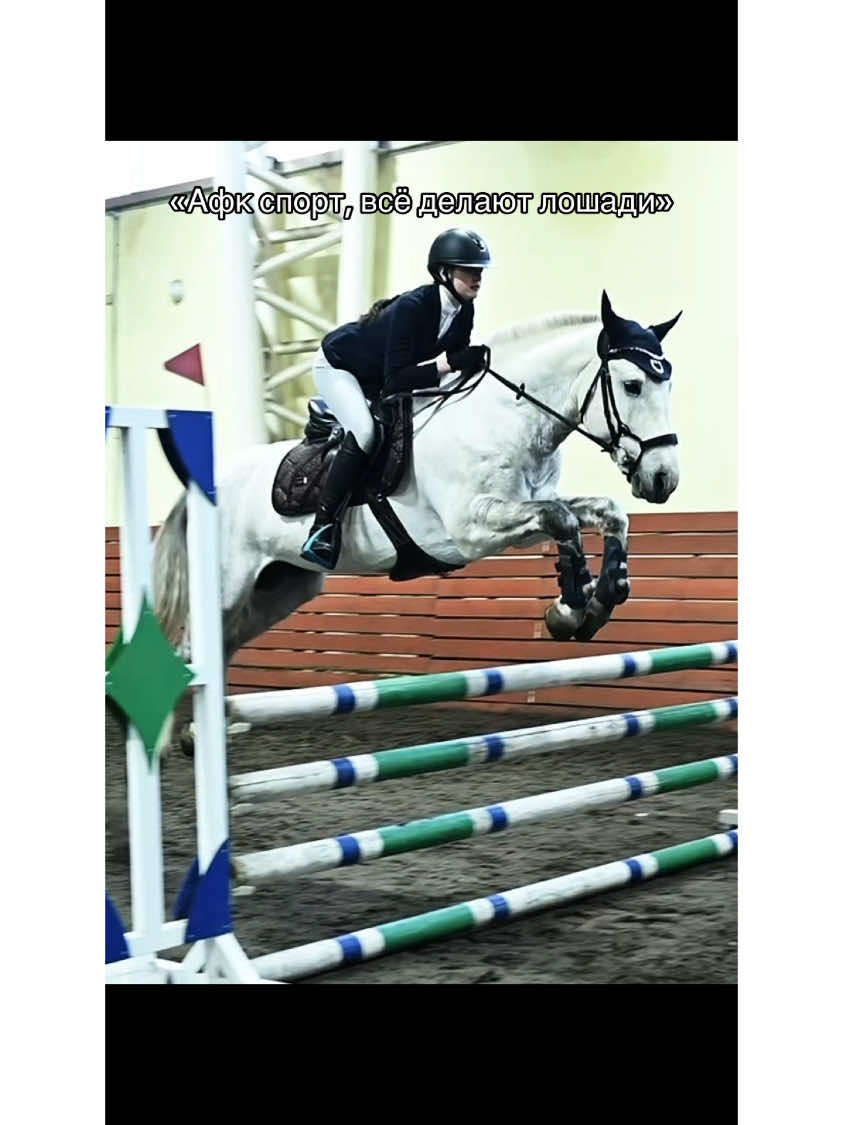 факт тгк: Мамкин Шоуджампер  #CapCut #equestrian #horse #equestrianlife #конныйспорт #лошадь #showjumping 