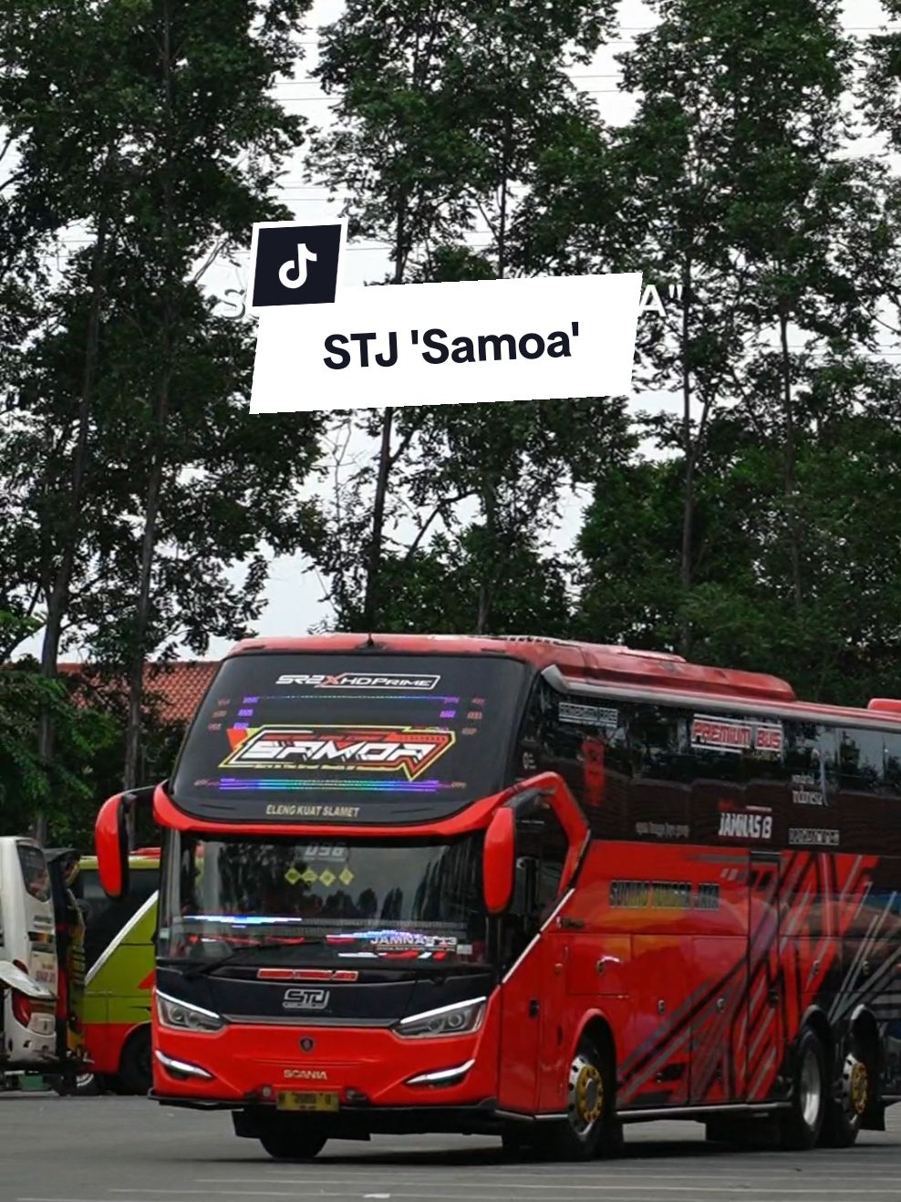 Yang kabaranya Sold Out ke SGN #busmania #busmaniacommunity #busmaniacomunity #busmaniaindonesia #videobus #videobusindonesia #storybus #cinematicbus #sudirotunggajaya #sudiro_tungga_jayafans #stj #sudirotunggajayalovers #stjsamoa #fyp #fypage #fypviral #fypdong #xyzabc 