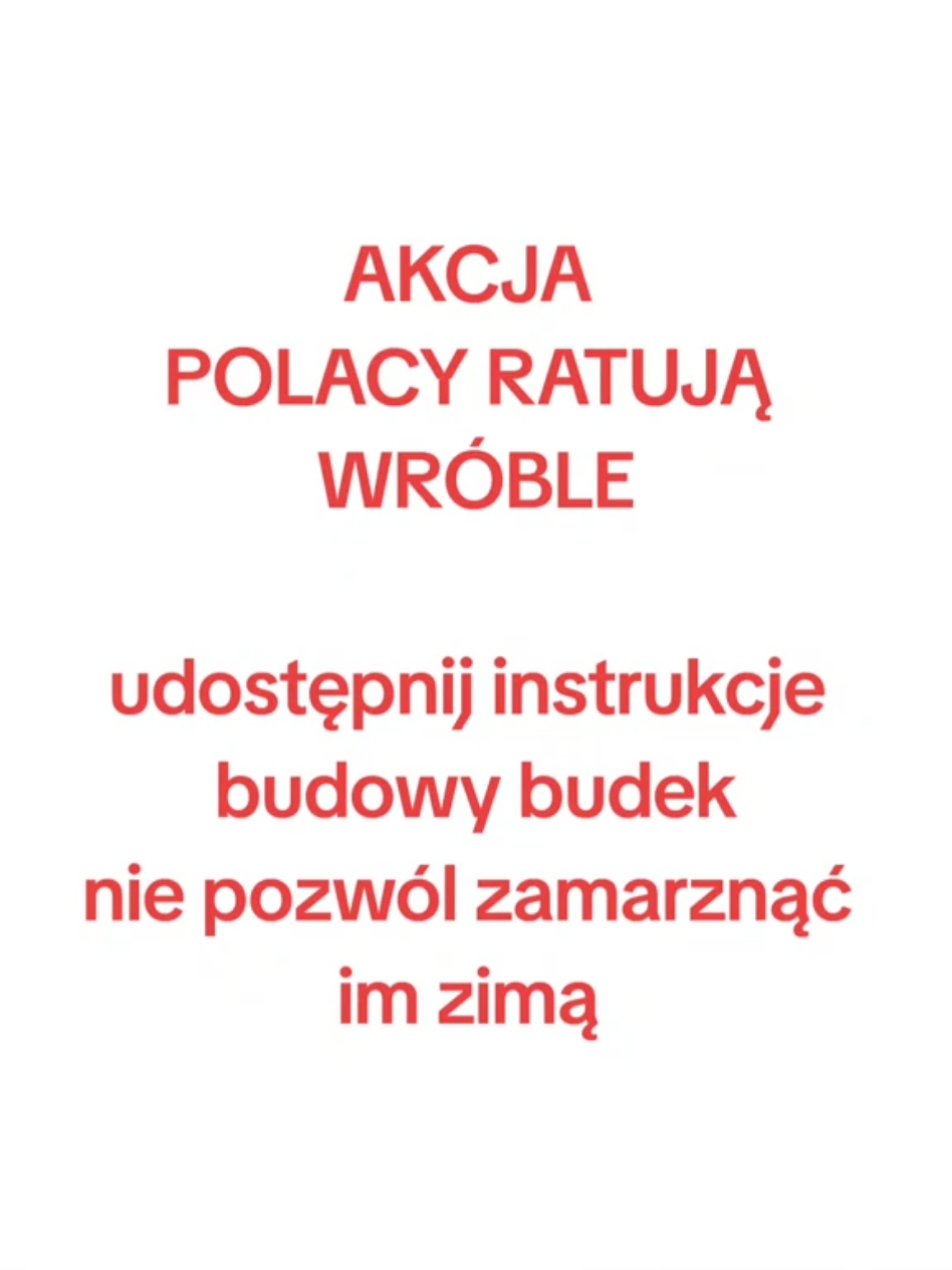 #wróbelki #wrobelek #wróbelek #ptak #ptaszek #wrobelzima #budkalegowa #budkalęgowa #budkadlaptaków #bidkadlawrobla 