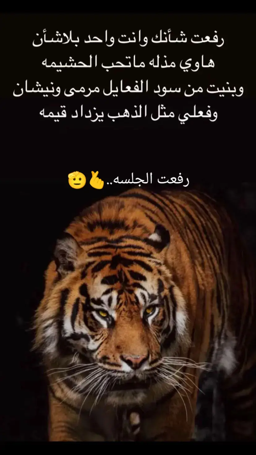 #لاتذل_نفسك👍_ #قدرك_اوقيمتك_فوق_كل_شي #عباره_قد_تروق_للبعض_♡ #🧸 #انتشار_واسع #اكسسسسسسسسسسسسسسبلورً🖤 