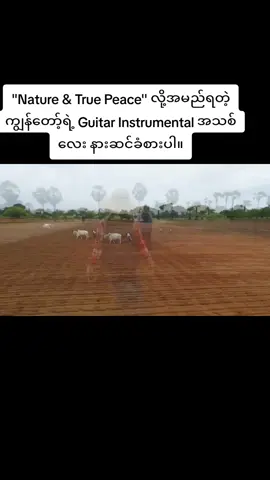Nature & True Peace Original Guitar Instrumental of MMA.... #MMAGuitarist