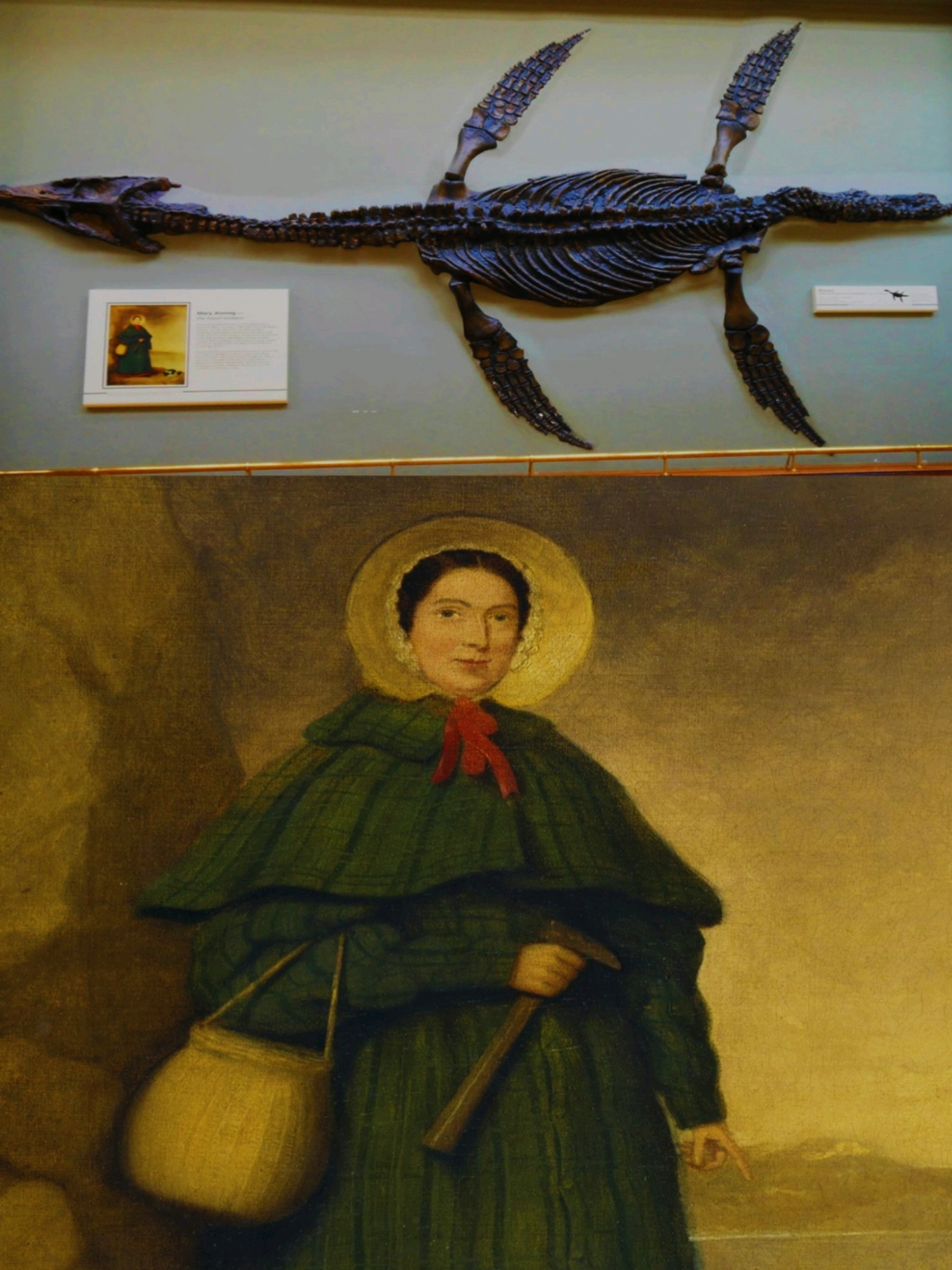 Mary Anning adalah seorang ahli fosil dan paleontologi asal Inggris yang terkenal karena penemuan fosil-fosil penting pada abad ke-19. Dia lahir di Lyme Regis, Inggris, pada 21 Mei 1799. Anning menemukan beberapa fosil besar, termasuk ichthyosaurus, plesiosaurus, dan pterosaurus, yang menjadi dasar penting dalam pengembangan ilmu paleontologi. Penemuannya membantu memperkuat teori evolusi dan menunjukkan keberadaan spesies yang telah punah. Dia berasal dari keluarga miskin dan mulai mengumpulkan fosil sejak kecil untuk dijual demi membantu keuangan keluarganya. Meskipun tidak memiliki pendidikan formal, kecerdasannya membuat dia diakui oleh para ilmuwan, meskipun di zamannya perempuan jarang mendapat penghargaan dalam bidang sains. Mary meninggal pada 9 Maret 1847 karena kanker payudara. #maryanning #semogafyp #gofhistory #fyp #semogabermanfaat