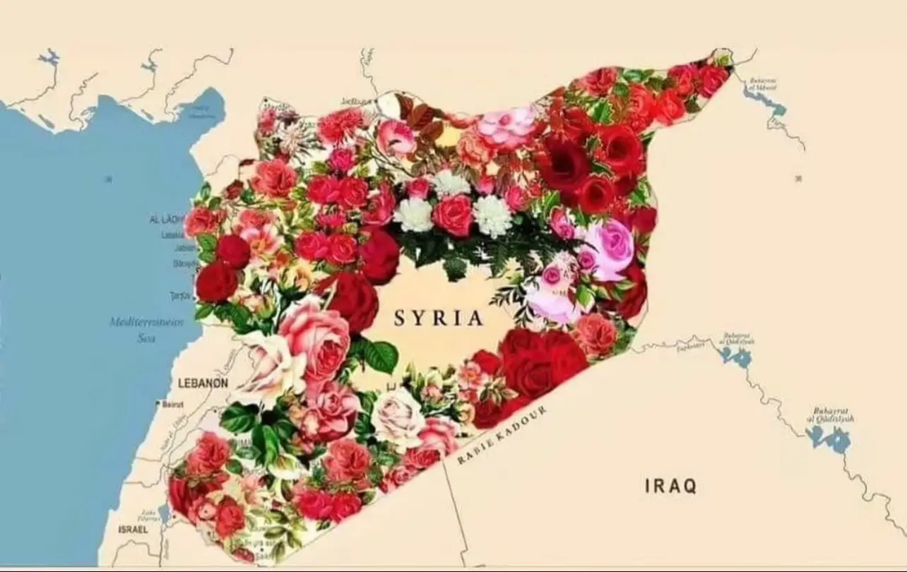 #سوريا #سوريا🇸🇾 #mysyria #syria #syria🇸🇾 #damascus #الجمهورية_العربية_السورية #mycountry 