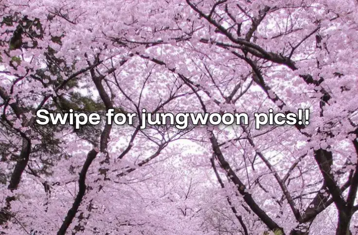 #enhypen#jungwoon#engene#fypp 
