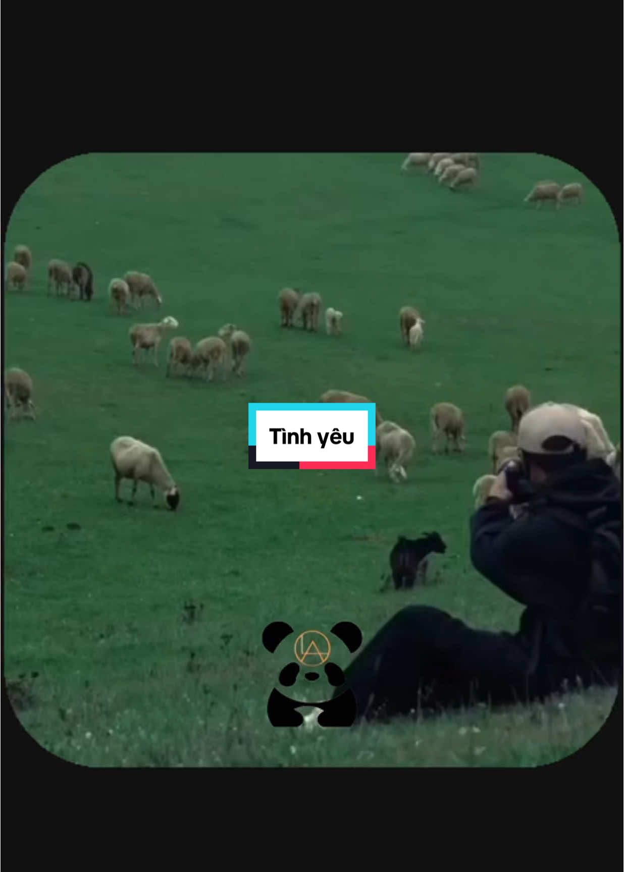 Tình yêu#podcast #dongluc #viral #tiktok #motivation 