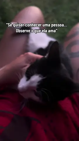#viral_video #viralvideos #fypシ゚ #fyp #nature #naturezaperfeita #vibes #felicidade #amor #natureza #animals #viralditiktok #fy 
