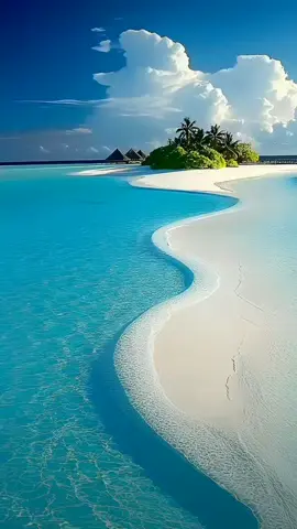 Paradise 🌴 💚 🌴 #suny #walpaper #scenery #amazing #sunny #sky #water #blue #ocean #oceanside #sea #sealife #Summer #summertime #beach #paradise #heaven #hermosa #buenos #palm #calming #edit #explore #trend #advanture #tiktokviral #viral_video #shorts #videoviral 