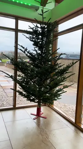 Getting into the festive spirit at our Scottish HQ! #christmas #christmastiktok #tree #christmastreedecorating #missionchristmas #cashforkids 