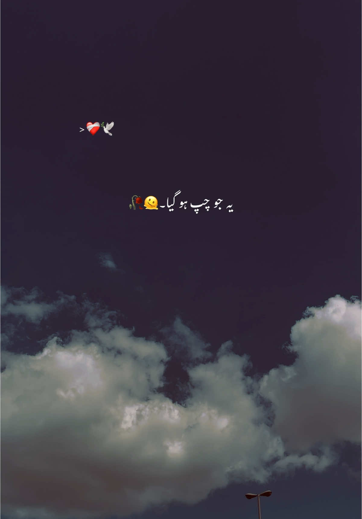 ❤️‍🩹🥹#hehe #fyp #video #urdupoetry #lines #growmyaccount #aesthetics #viral_video 