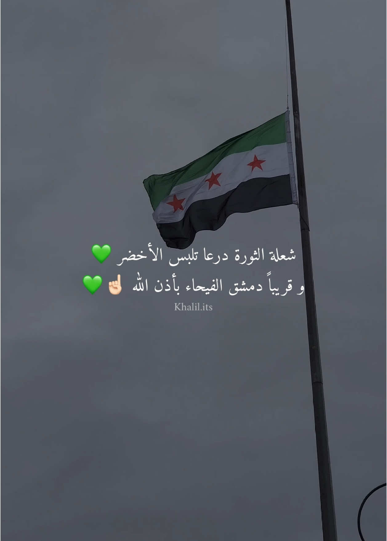 درعا خضراء 🫡💚 #بدنا_نعيش_الحرية #Free_syria #الثورة_السورية #يسقط_الاسد #ثورة_حتى_النصر #عاشت_سوريا_ويسقط_بشار_الاسد #سوريا_حرة #درعا #freesyria #fyp #viral #foryou 