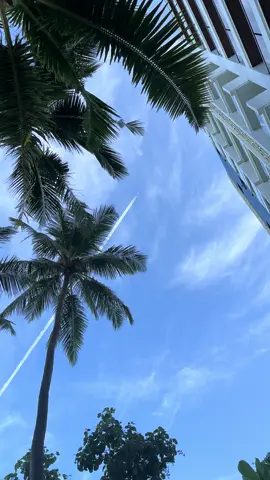 #❤️🏠🤲🤲  #maafushiisland🌴  # kaani palm   #maldivesvacation 