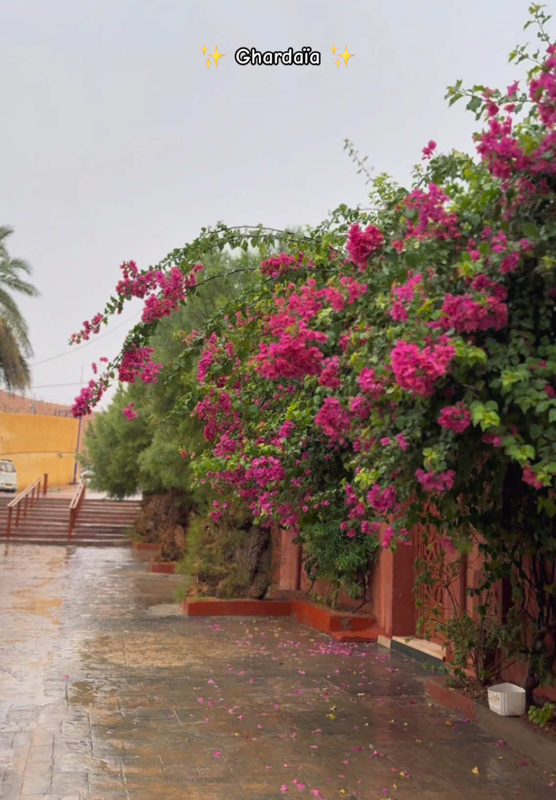 GHARDAÏA 🌨️🇩🇿 #ghardaia #fyp #winter #algeria