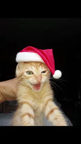 #merrychristmas 🎅