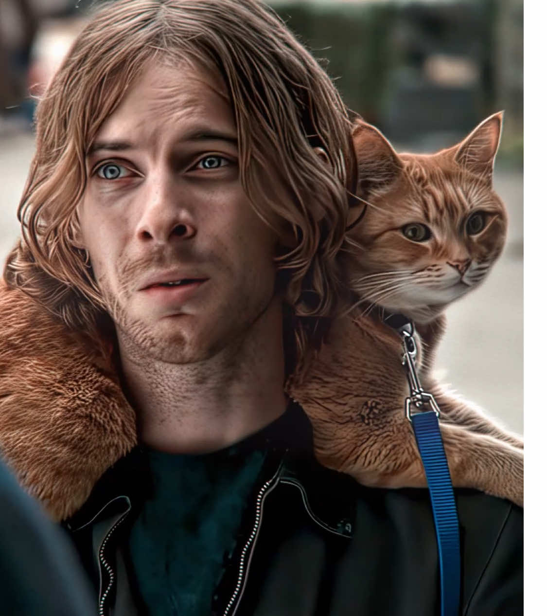 Love Bob!!#astreetcatnamedbob #cat #movie #edit #fyp 