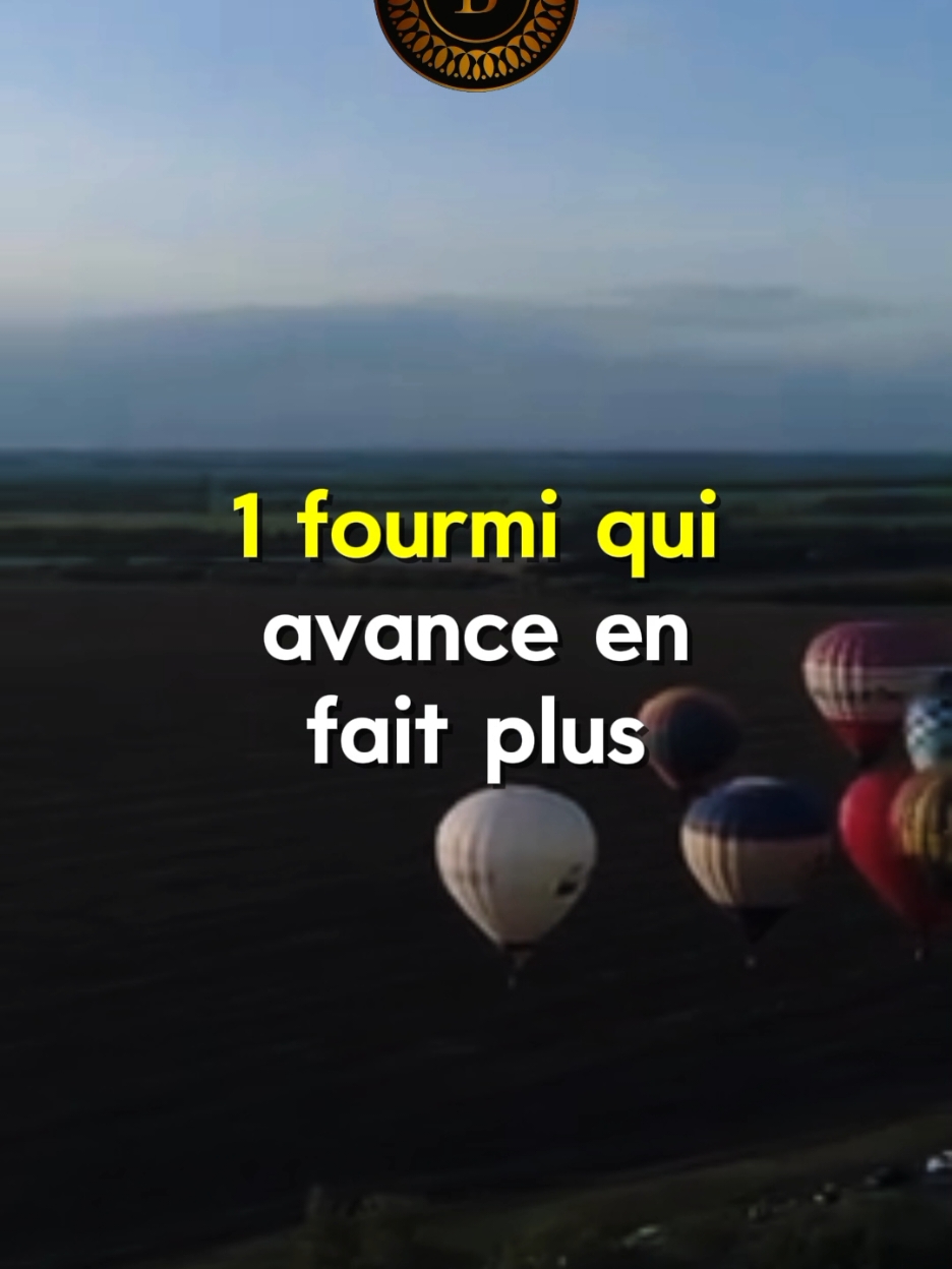 Nouveau commencement 🫠#consiel #citation #motivation #education #capcut_edi #edit #video #french #pourtoi 