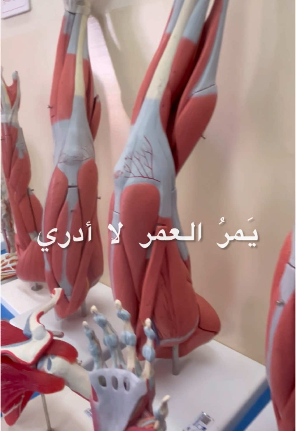 #CapCut #tiktok #explore #ترند #dentist #explore #الحمدالله_علی_کل_حال❤ #الشعب_الصيني_ماله_حل😂😂 #نابلس #ppu #hebron #رام_الله #طب_اسنان #netflix 