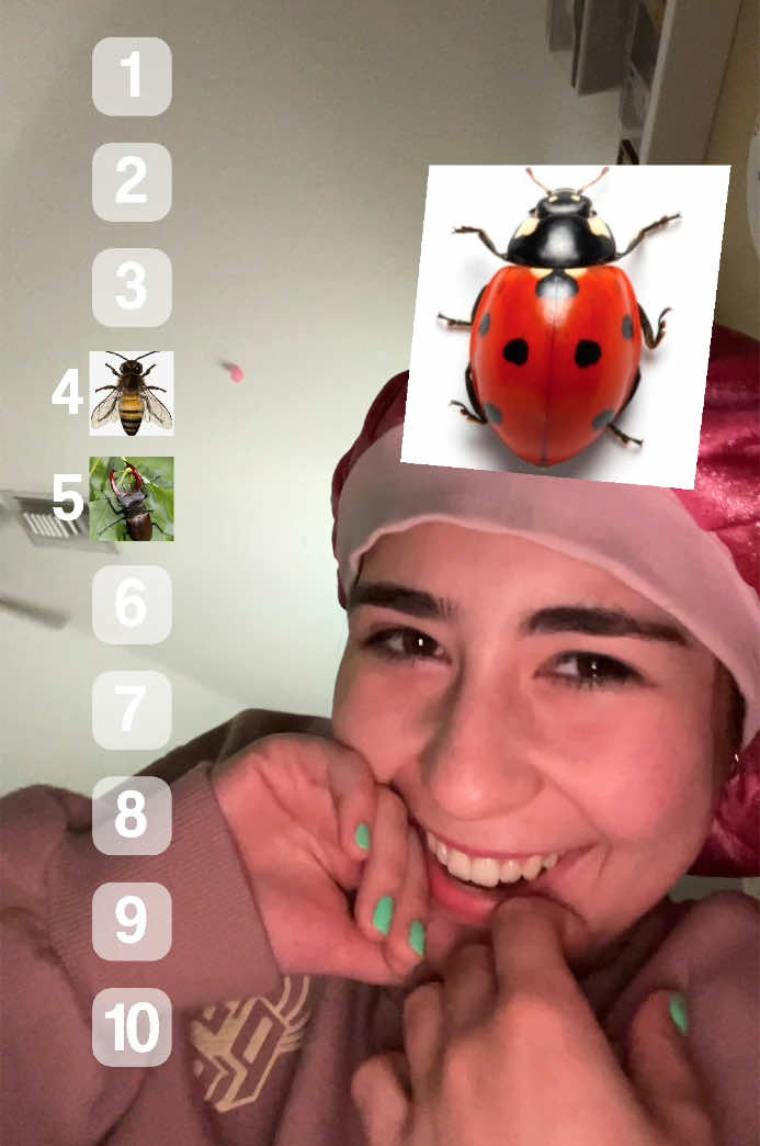 Rating how id react if these bugs were on me #fyp #foryoupage #bug 