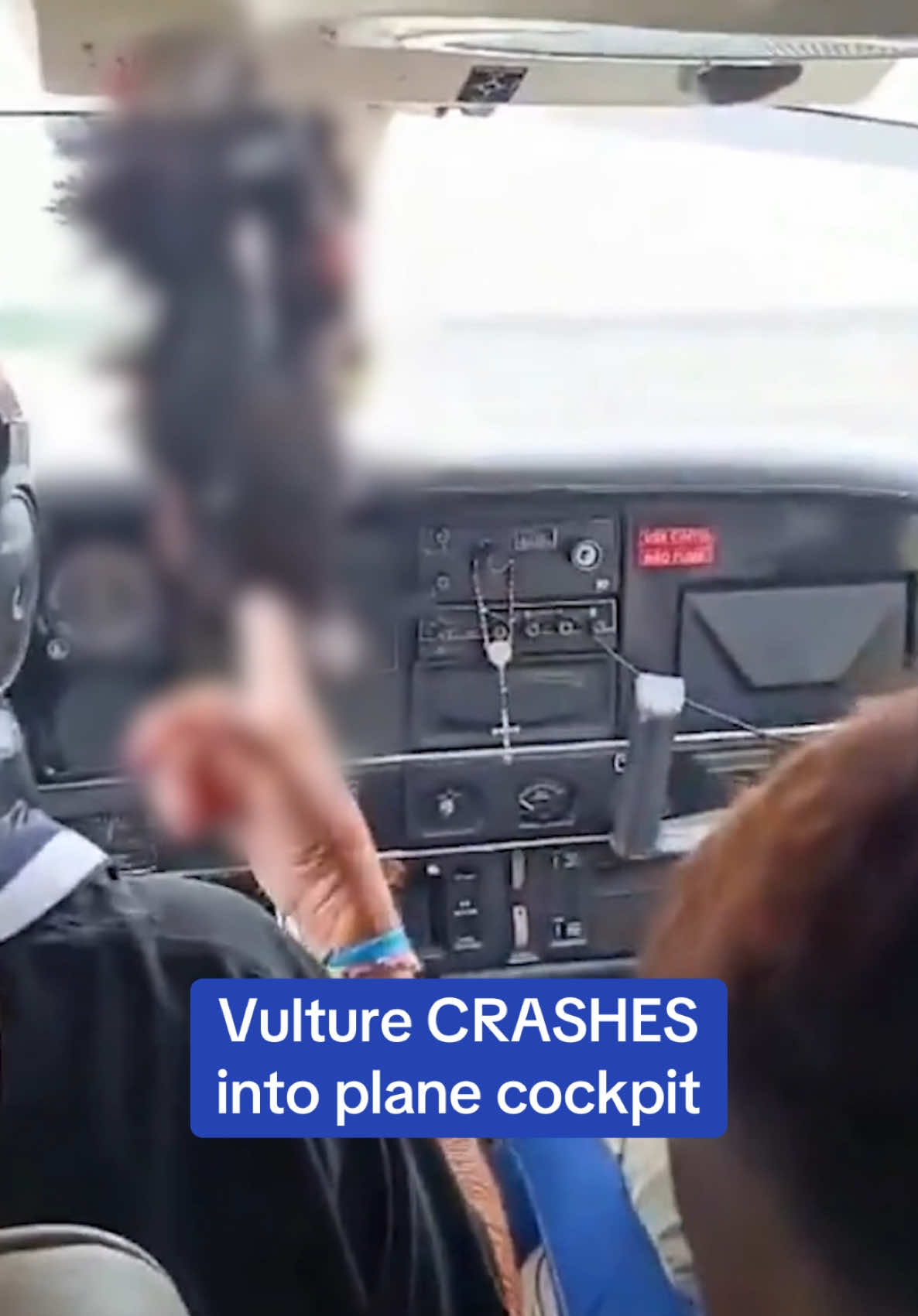 This is the moment a vulture crashed into a plane's cockpit in Brazil, forcing the pilot to perform an emergency landing with the dead bird hanging in front of him. Footage taken mid-flight on the plane showed the dead bird hanging by its feet from the top of the windshield. The pilot, who was flying the plane to Eirunepe, in the Brazilian state of Amazonas, on December 5 with five passengers onboard, taxed on the runway without further incident. #brazil #birds #flying #planes 