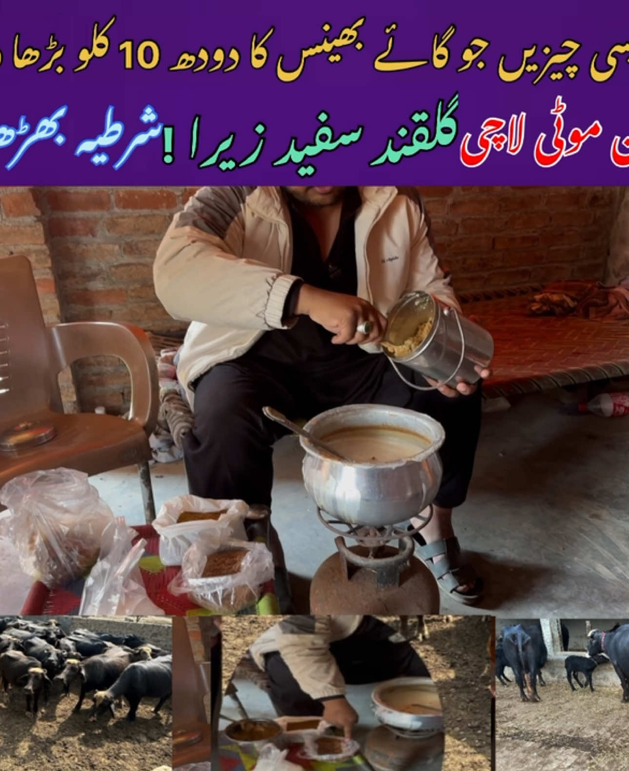 Dodh desi tariqy sy barhaye #tiktokreels #foryou #viralvideo #dairyfarming 