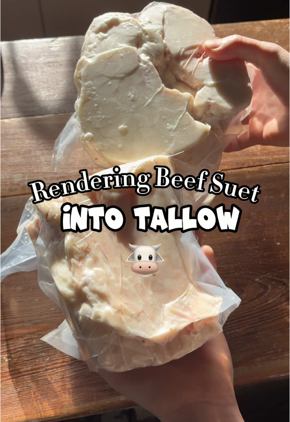 I cannot make this up😭😭 Anyways… I’m back with tallow videos😅😅 See y’all tomorrow :)) #beeftallow #renderingbeefsuet #tallowtok #renderingtallow #beefsuet #tallowtutorial #tallow #whippedtallow #beef #realfood #homesteading #homestead 