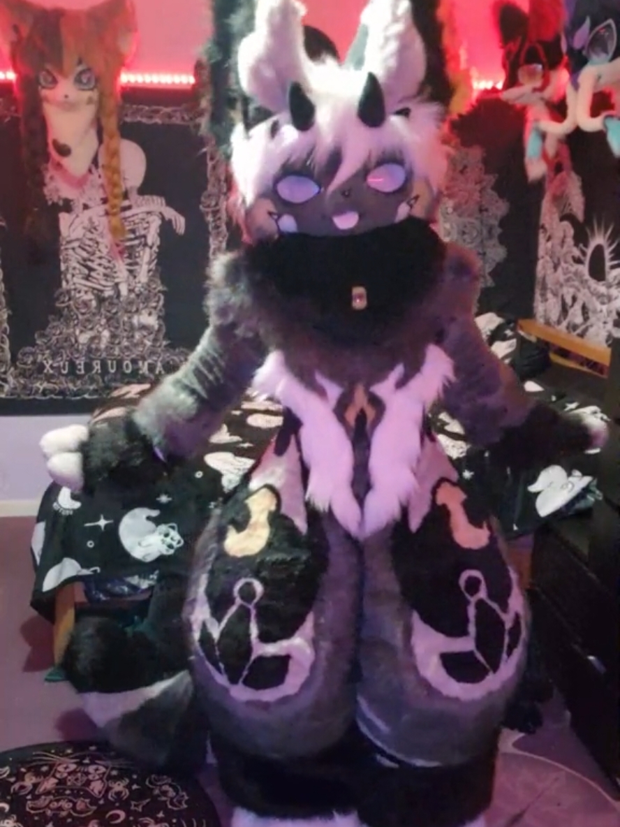 How to attract a man xo #ukfurry #scottishfurry #fursuit #furry #kemonofursuit #kemonofurry