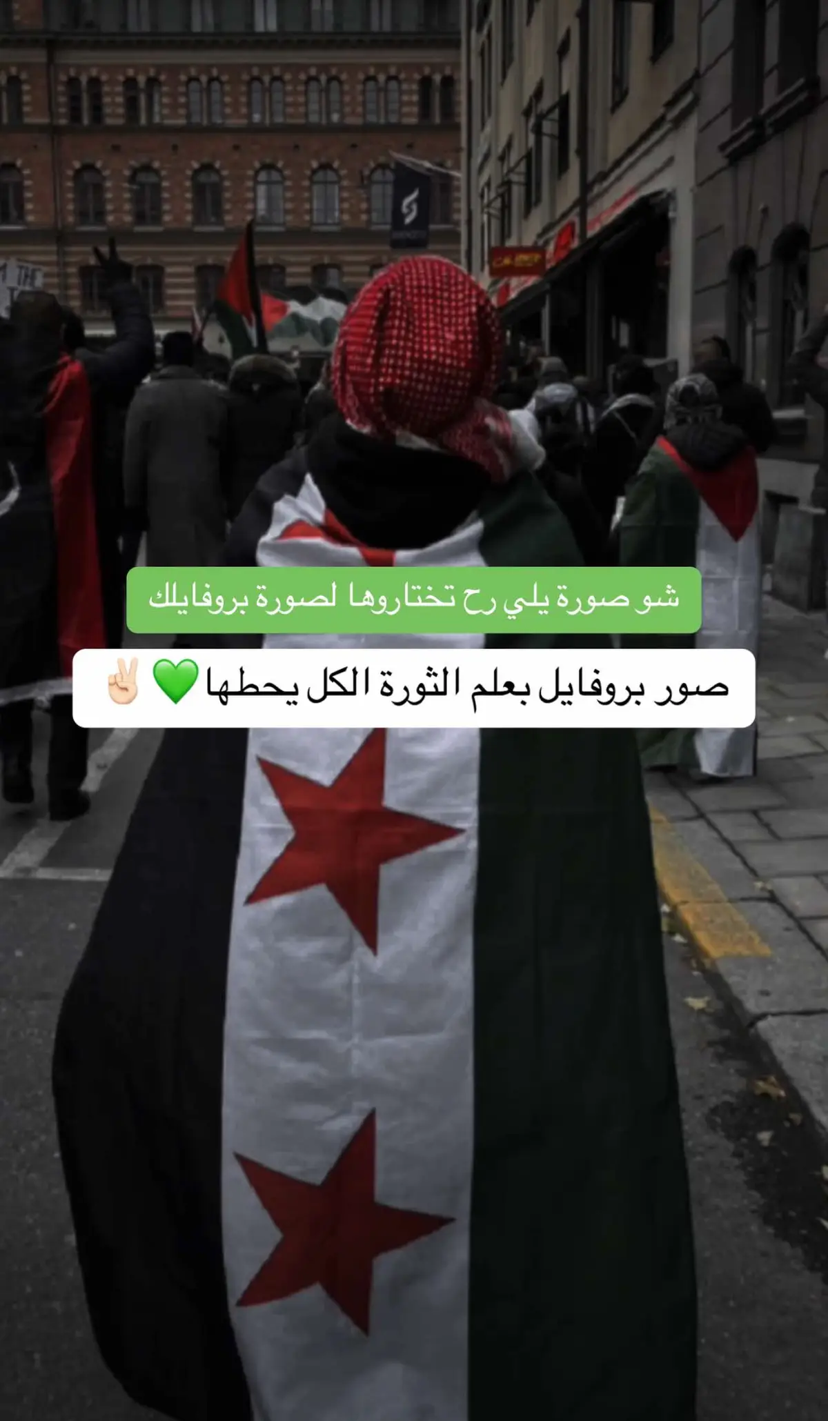 #سوريا #الثورة #علم_الثورة_السورية_💚 #CapCut #