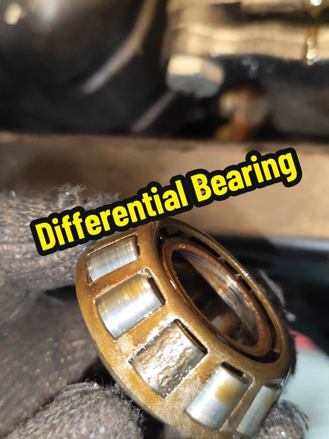 front Wheel Differential Bearing and Seal #auto #mechanic #usa🇺🇸