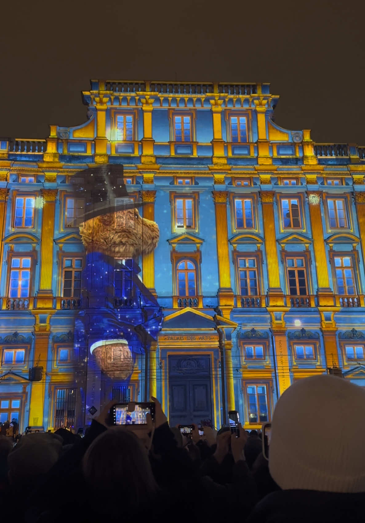 Fete des lumières 🦁 #lyon #fetedeslumieres 