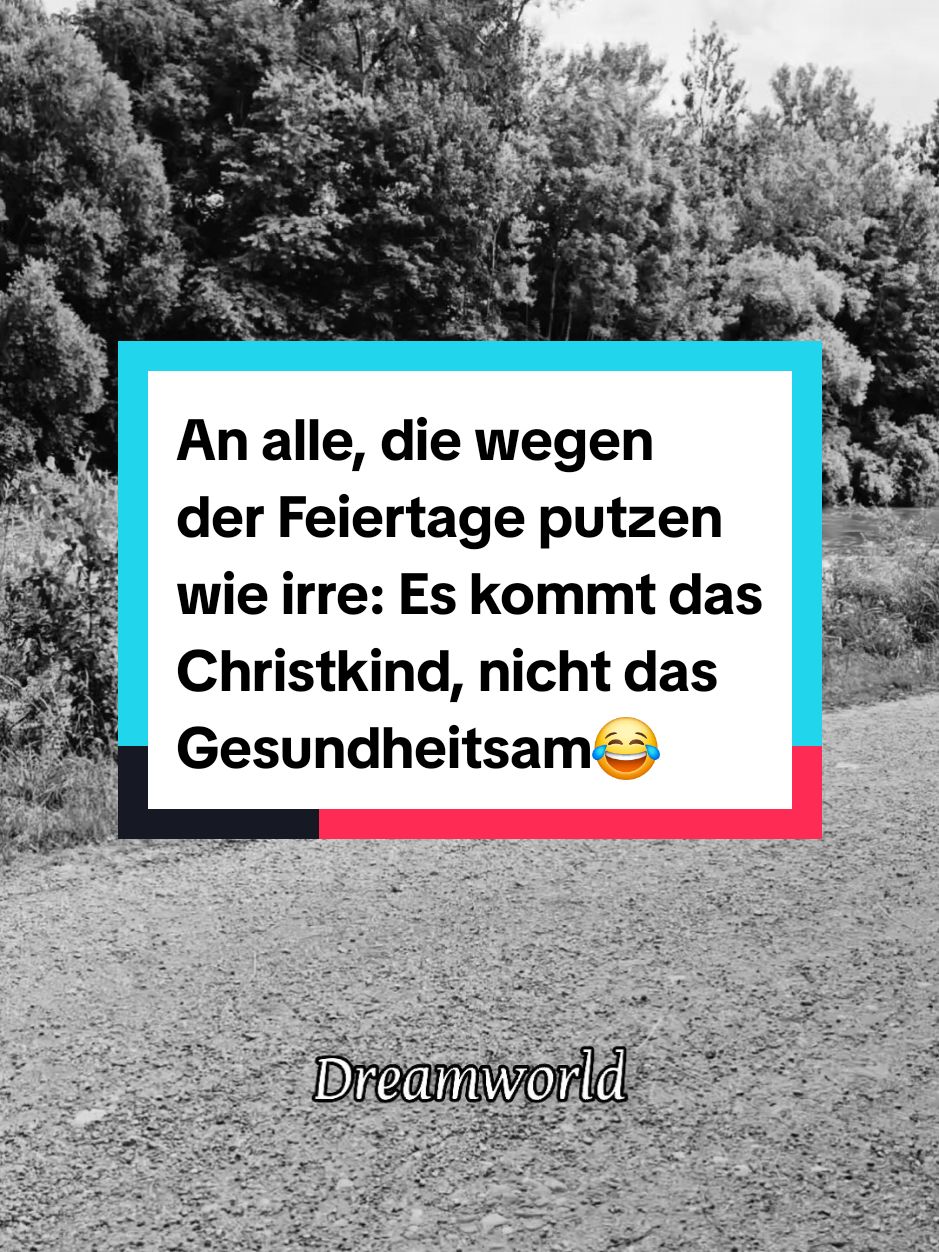 An alle, die wegen der Feiertage putzen wie irre: Es kommt das Christkind, nicht das Gesundheitsamt! 😂😂😂  #Christmas #Chrismas #xmas #weihnachten #christkind #Feiertage #Gesundheitsamt #lustig  #funy #funnytiktok #fyp #sprüche #zitate #motivation #inspiration #dreamworld 