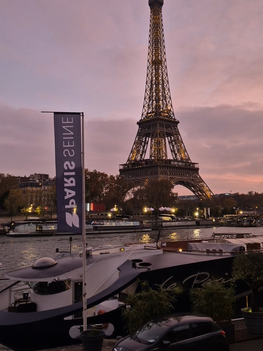 paris,tour eiffel #paris #paris2024 #christmaslights #christmas2024 #christmasdecorations #noelparis #visitparis #fyp #viraltiktok #viralitytiktok #pourtoi #tik_tok #foryoupage #parisjetaime #dior #foryou #viral #fy #trending #sortiraparis #explore 