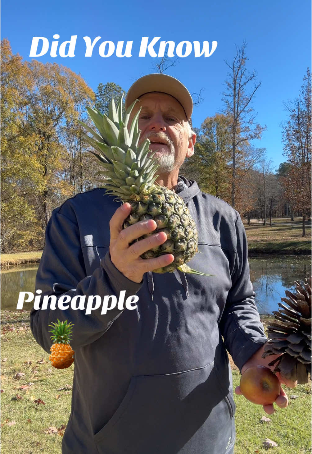 Did you know this about the pine cone, apple, and the pineapple #TikTokHumananitiesCampaign #DidYouKnow #gardening 