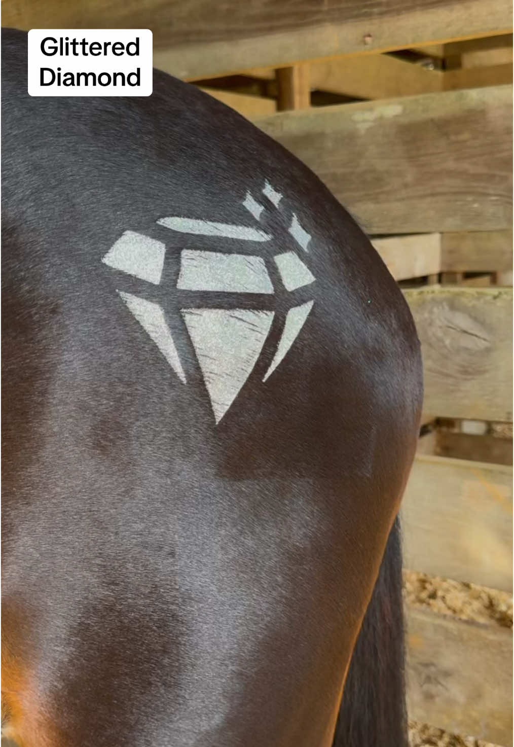 Time to sparkle with our classic Diamond glittermarx in Platium!  Thank you to @#TriplePeventing for making this video for us #diamond #cutsey #trending #DIY #howto #glitter #mlp #Glittermarx #pony #horses #horsebackriding #glittertattoo #eventing #rodeo #glitteryourride #dressage #jumping #sparkle 