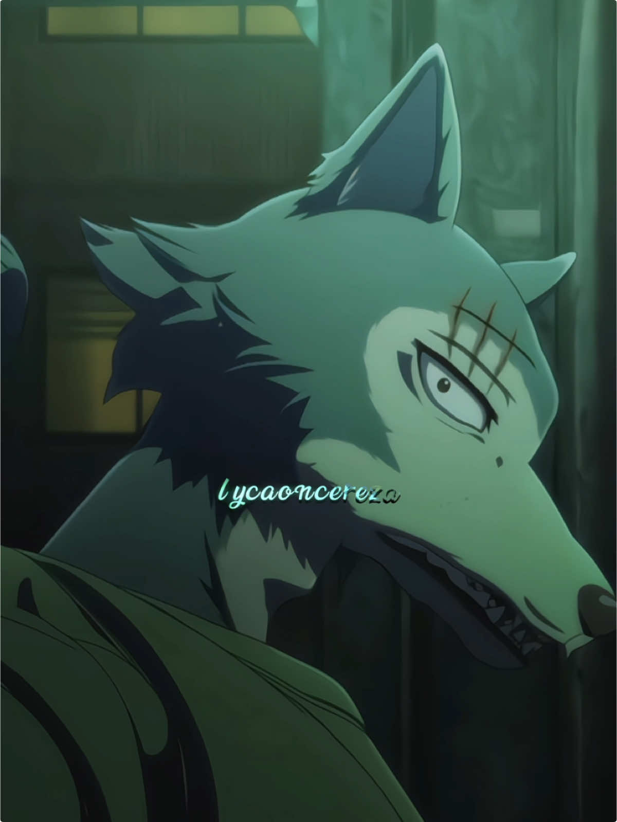 #BEASTARSFINALSEASON — WE ARE SO BACCCKK 🐺🐰 || #beastars #legoshi #furry #furryfandom #edit #lycaoncereza 