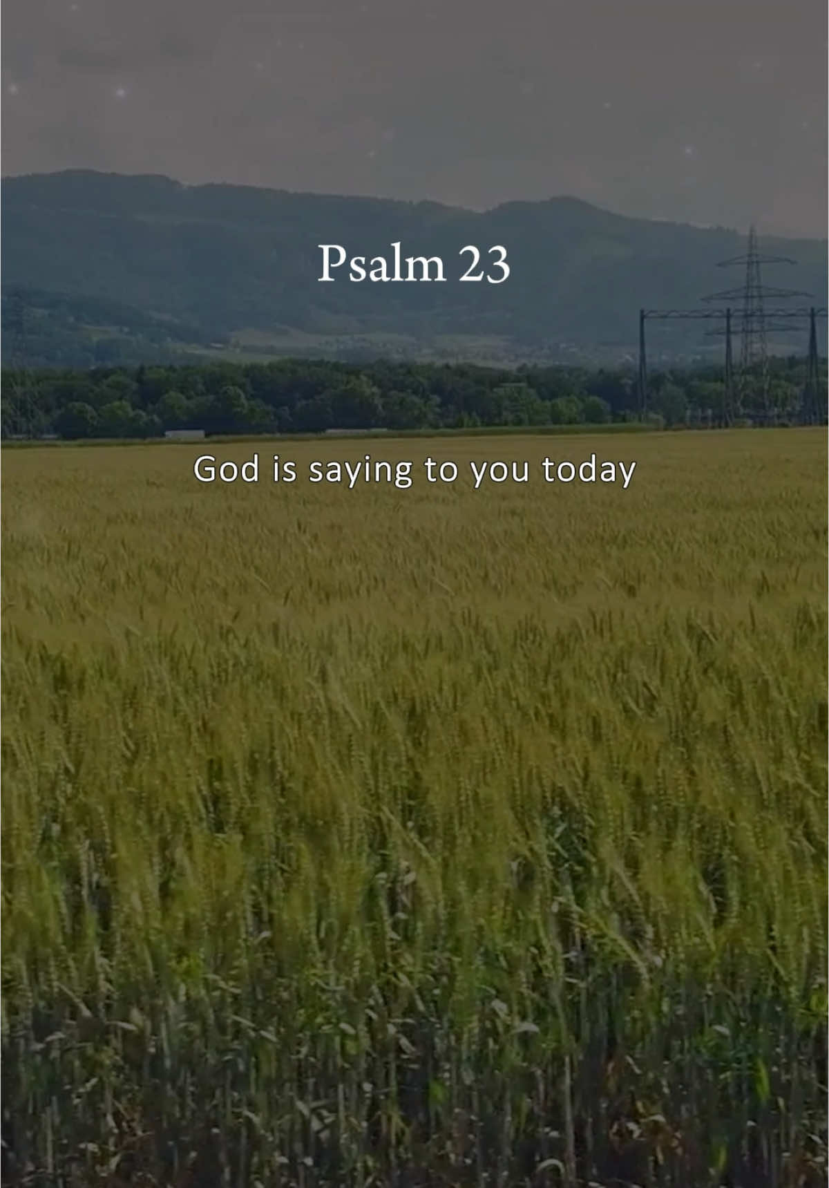 Psalm 23 Will you join me in this bible verse and prayer? #psalm23 #bibleverse #bible #dailyprayer #prayer #godisgood #jesusisking 