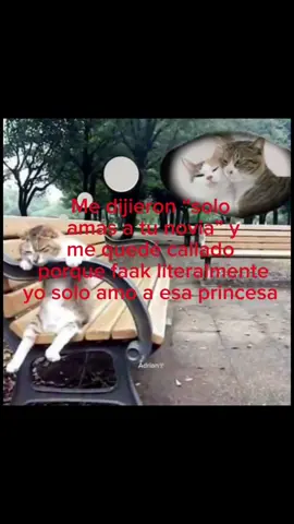 Faak  #ponmeenparati #textorojo #pinchetiktokponmeenparati😘 #dedicarvideos♡ #paratiiiiiiiiiiiiiiiiiiiiiiiiiiiiiii #loveyou #cats #amar #preciosa 