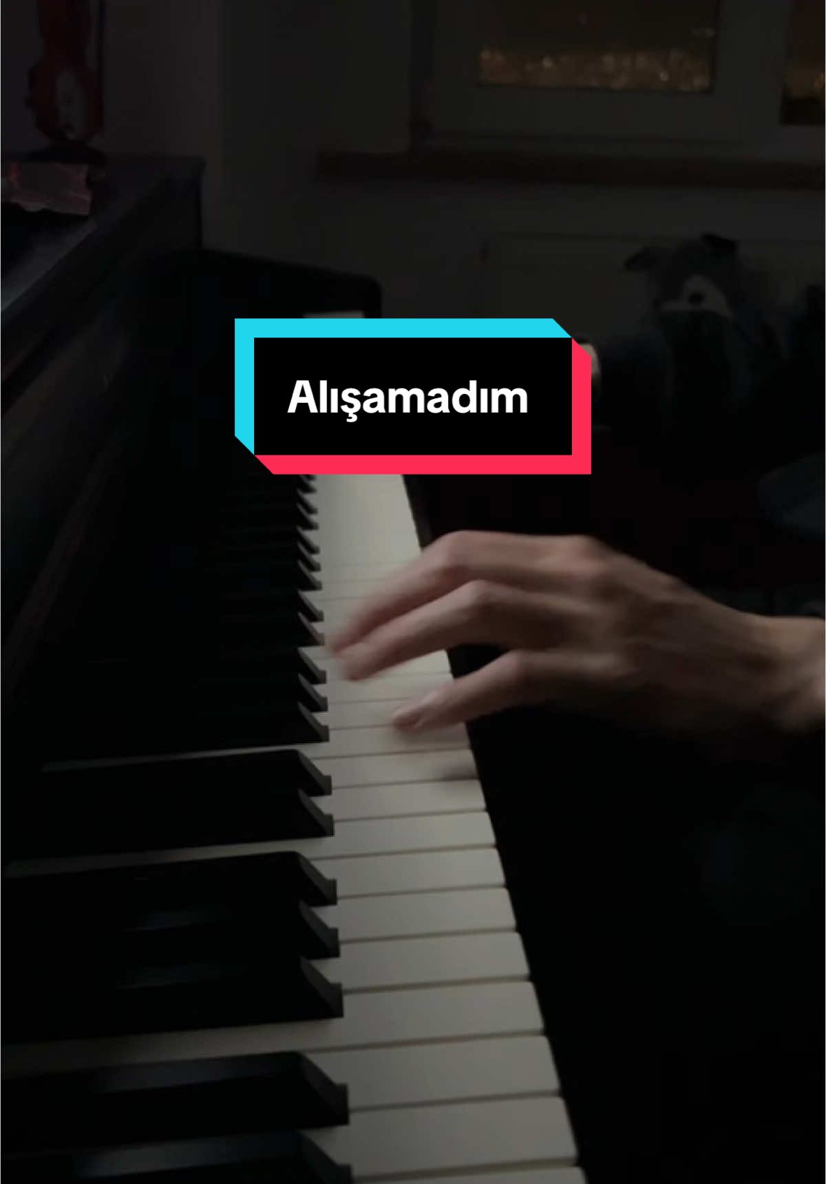 Dayanamam ben bu son gidisine (Alısamadım) #piano #kesfett #worldpianistday #pianist 