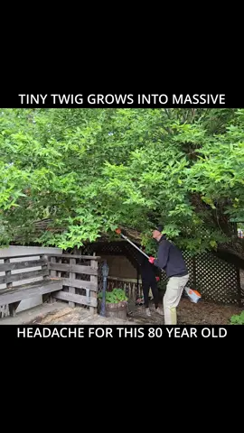 Tiny Twig Grows Into MASSIVE Headache For This 80 Year Old Man 😔 #satisfying #lawncare #cleanup #fyp #foryou #mowing #lawns #cleaning #CleanTok #lawntok #relaxing #soothing #viral #viralvideo