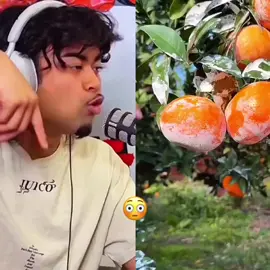 Footage at the end 🫣🫣 #fyu #jumpersjump #scary #jumpersjumppodcast #mystery #theory #story #foryou #trending 