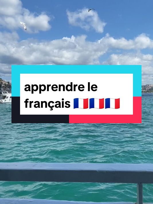 apprendre le français 🇨🇵🇨🇵🇨🇵#فرنسا🇨🇵_بلجيكا🇧🇪_المانيا🇩🇪_اسبانيا🇪🇸😕 #france🇫🇷 #🇨🇵🇨🇵🇨🇵🇨🇵🇨🇵france 