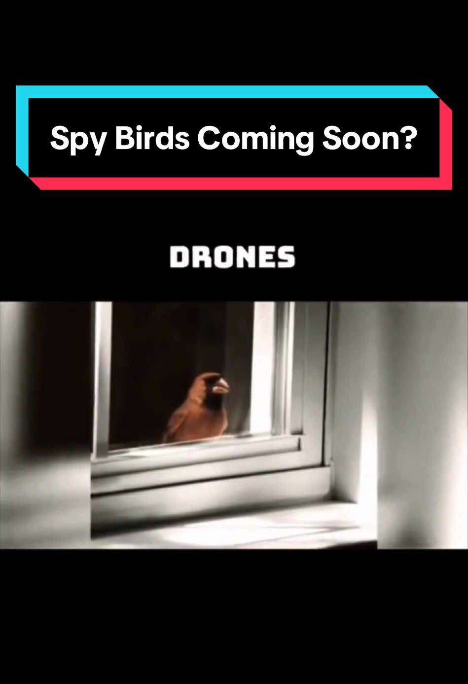 Are birds even real?🤨 #technology #techtok #science #scientists #technews #news #research 