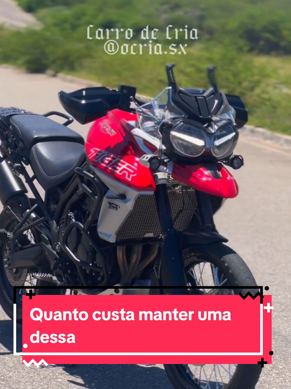 Quanto custa manter uma Tiger 800 #tiger #tiger800 #triumph #cc #fyp #fy #moto #motos #carros #humor 