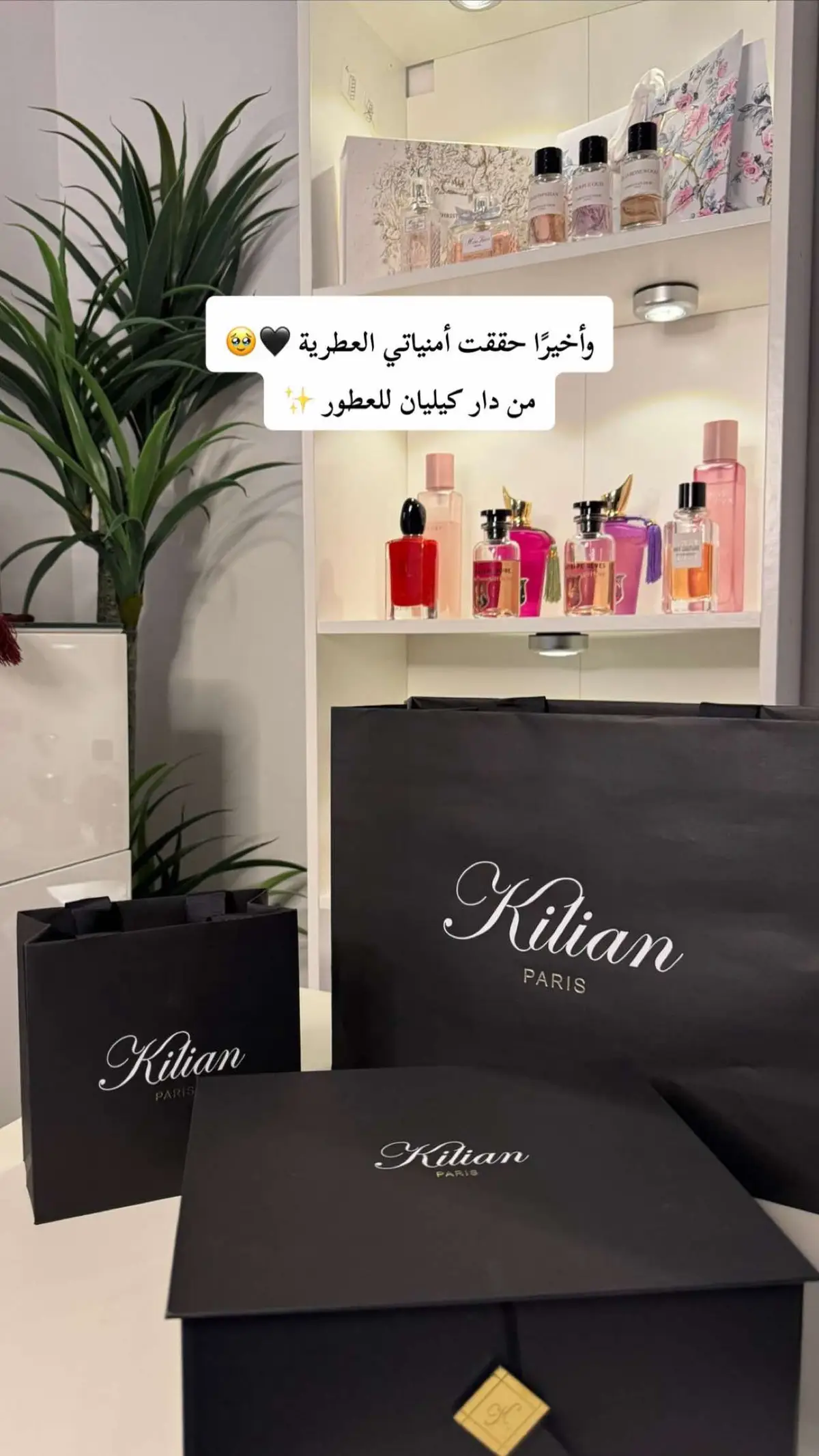 #عطور #عطر #عطور_نسائيه #fyp #fragrance #fragrancetiktok #عطرك_المفضل #عطورات_فاخرة #عطور_نسائية 