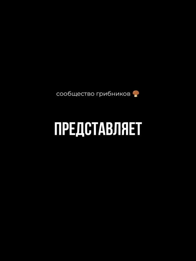 Тяжёлый путь к свободе✌️ Зимний переход в Румынию через Карпатские горы⛰️ Сообщество грибников 🍄‍🟫  https://t.me/gribnikieysa #путь #свобода #зимнийпереход #румыния #карпаты #горы #эйсвентура #тренд #2024 #ухылянт #украина  #рекомендации #врек 